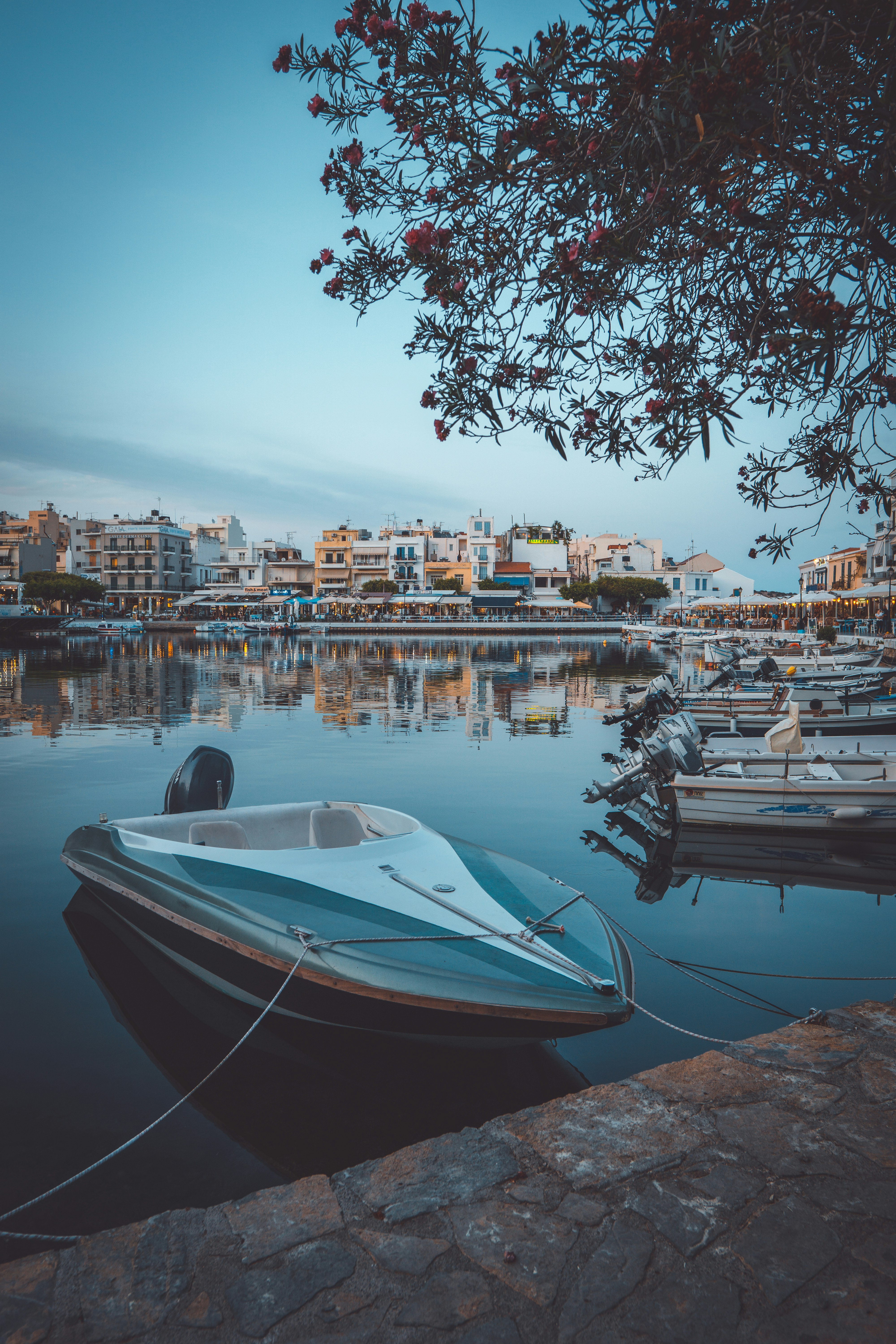 white and blue boat on water near city buildings during daytime